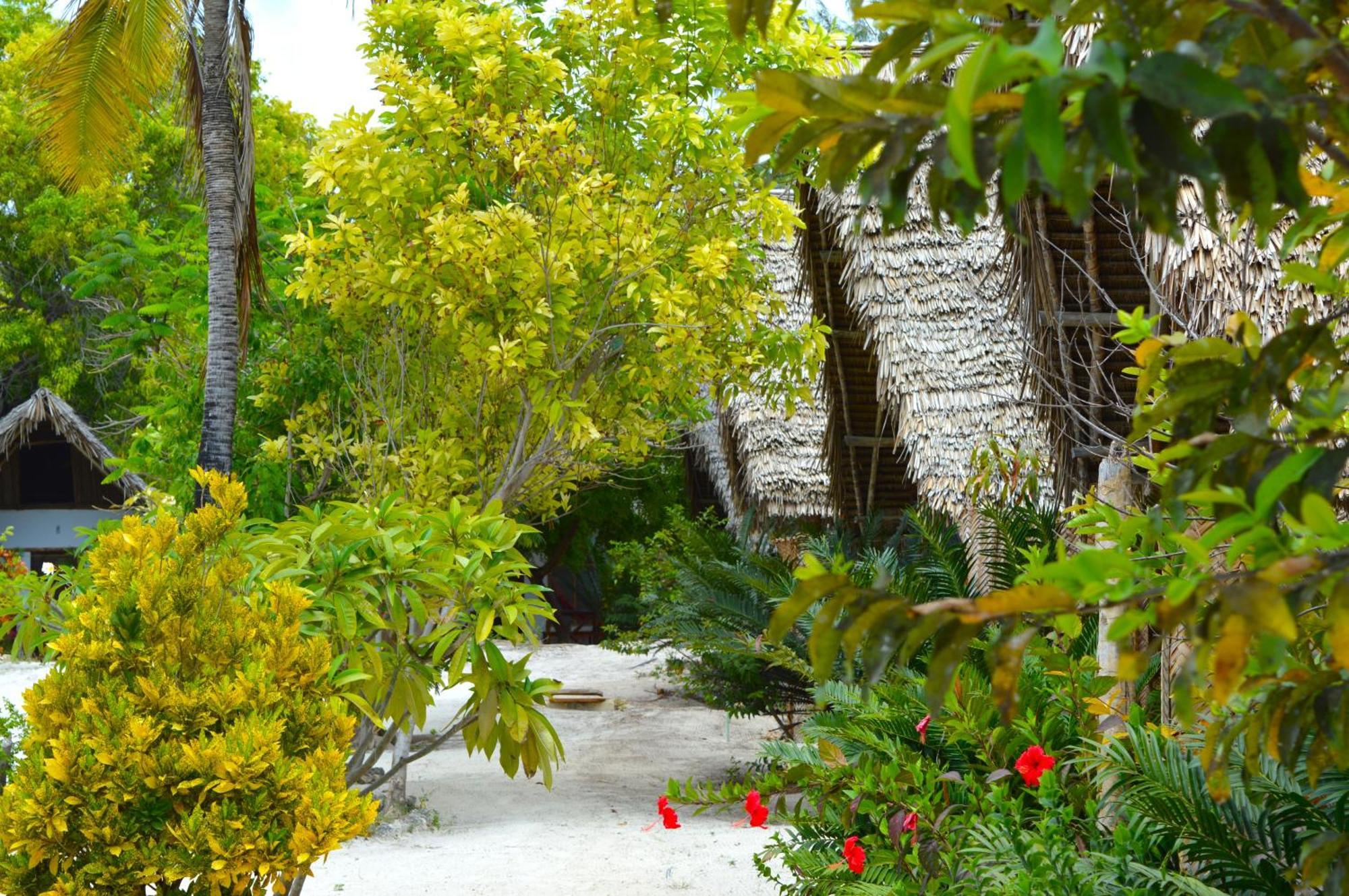 New Jambo Bungalows Paje Exteriér fotografie