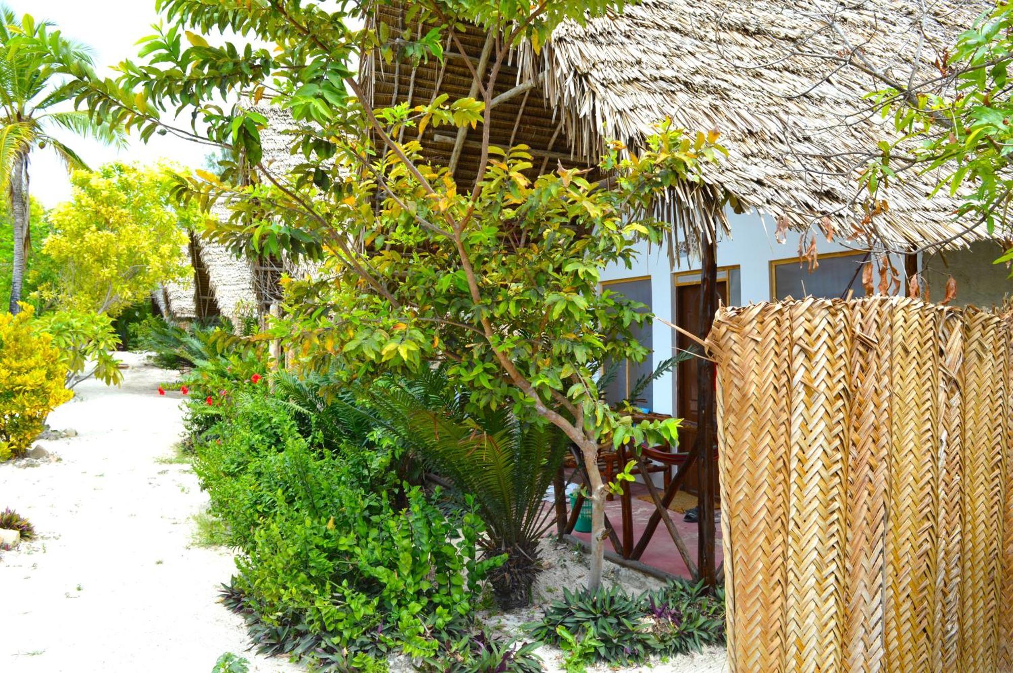New Jambo Bungalows Paje Exteriér fotografie