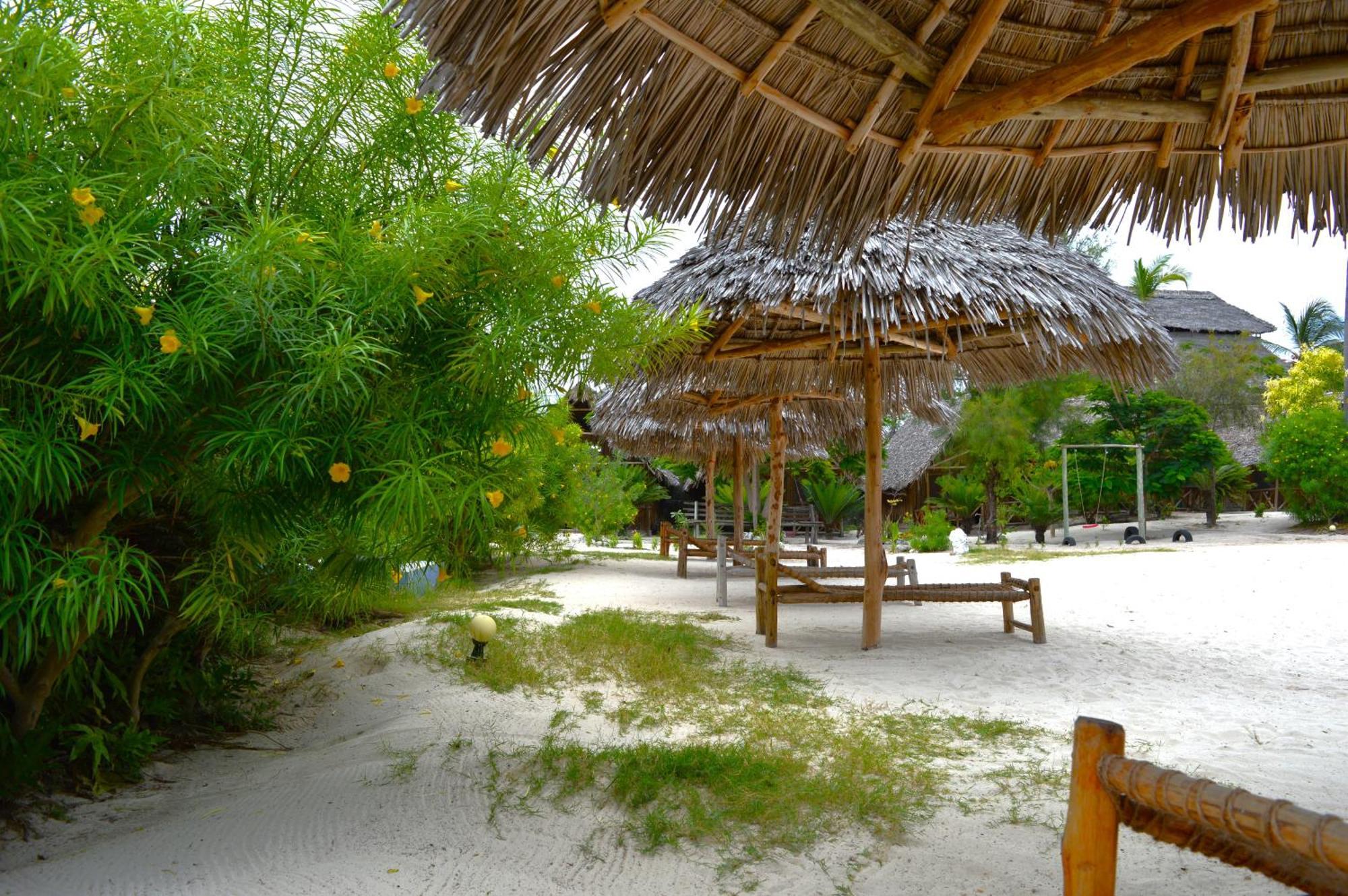 New Jambo Bungalows Paje Exteriér fotografie