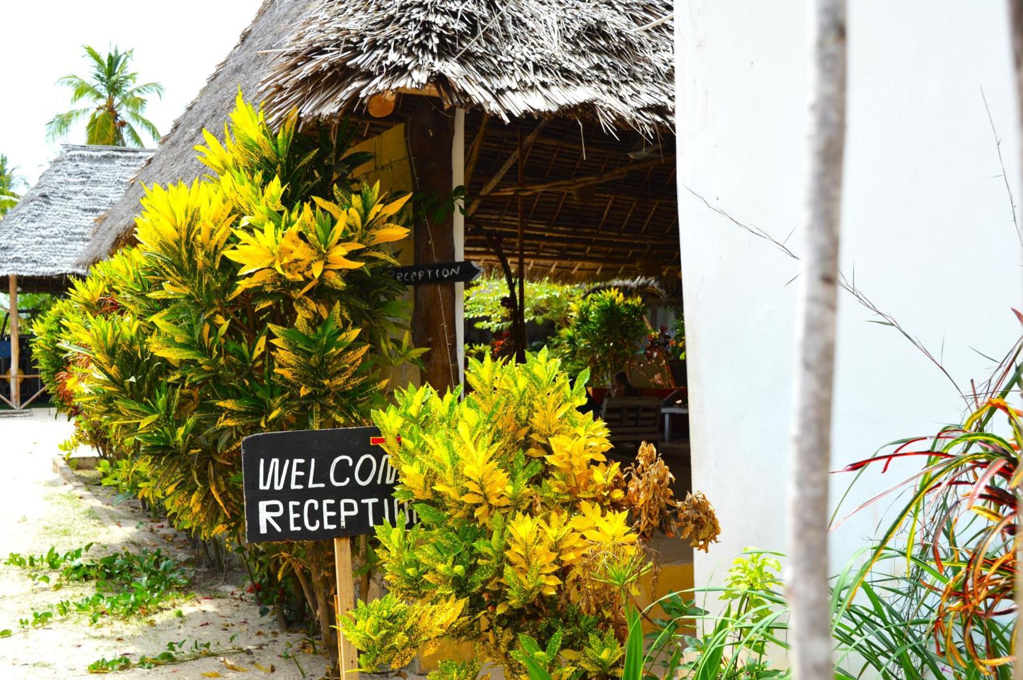New Jambo Bungalows Paje Exteriér fotografie