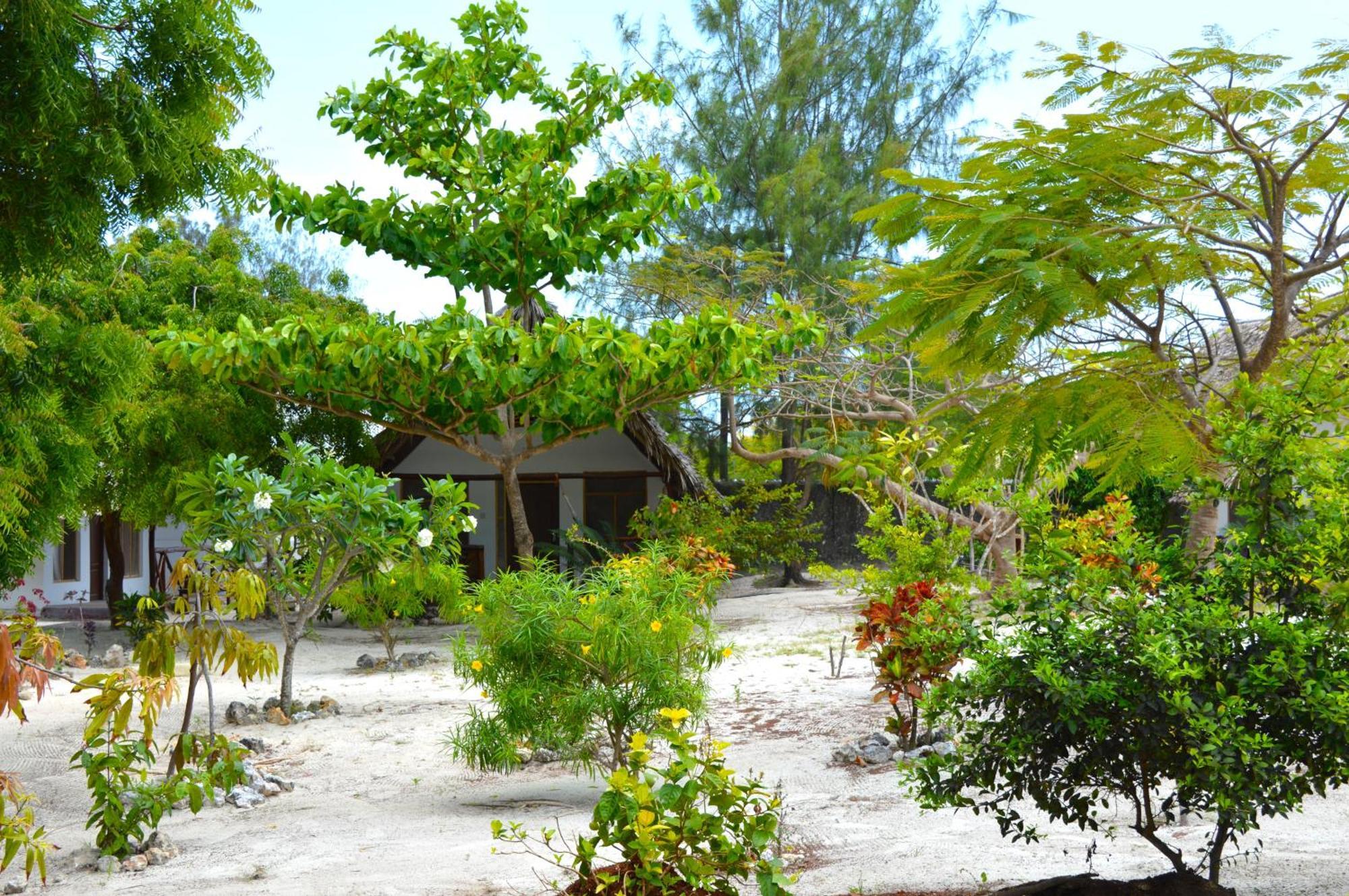 New Jambo Bungalows Paje Exteriér fotografie