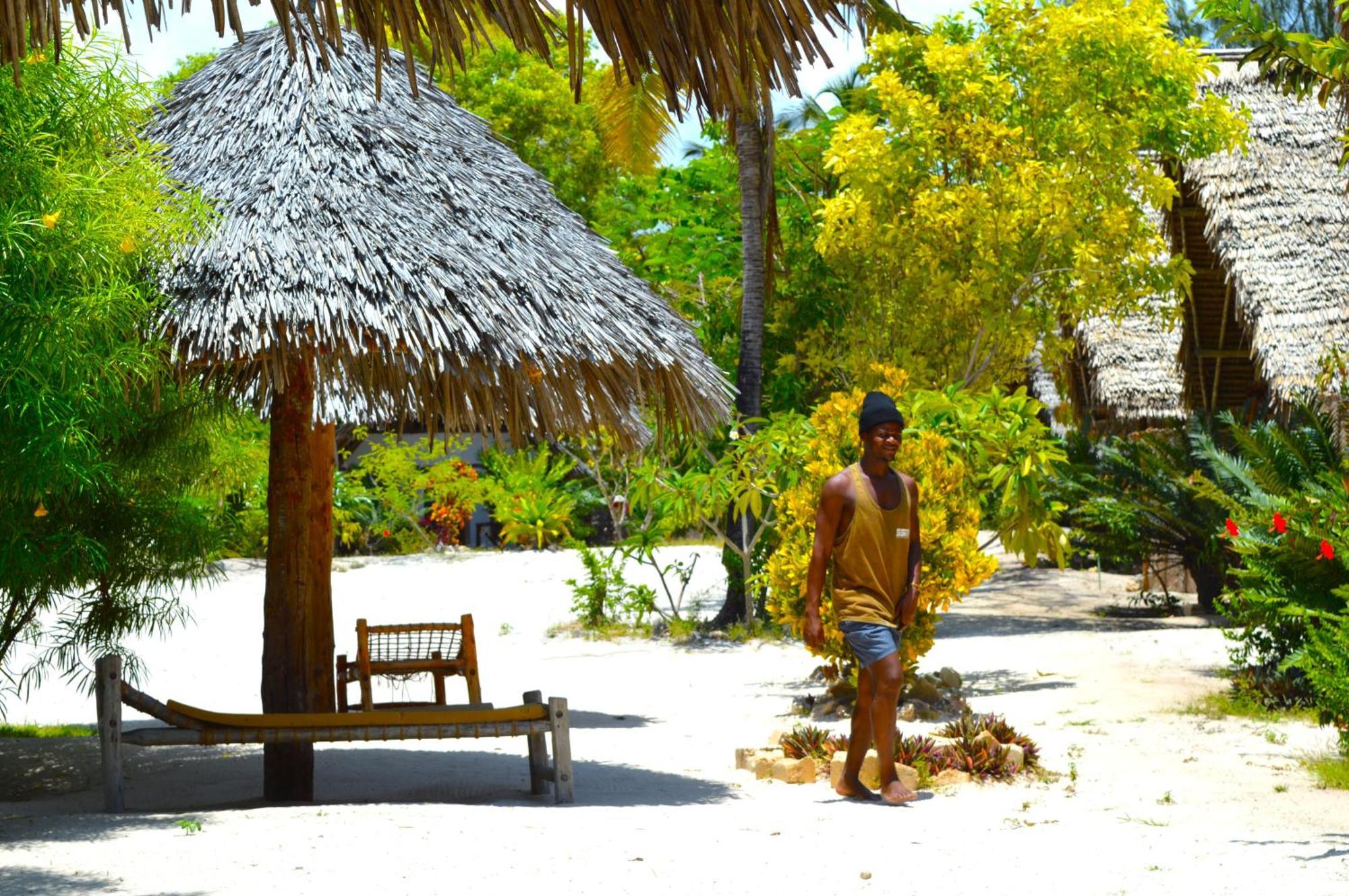 New Jambo Bungalows Paje Exteriér fotografie