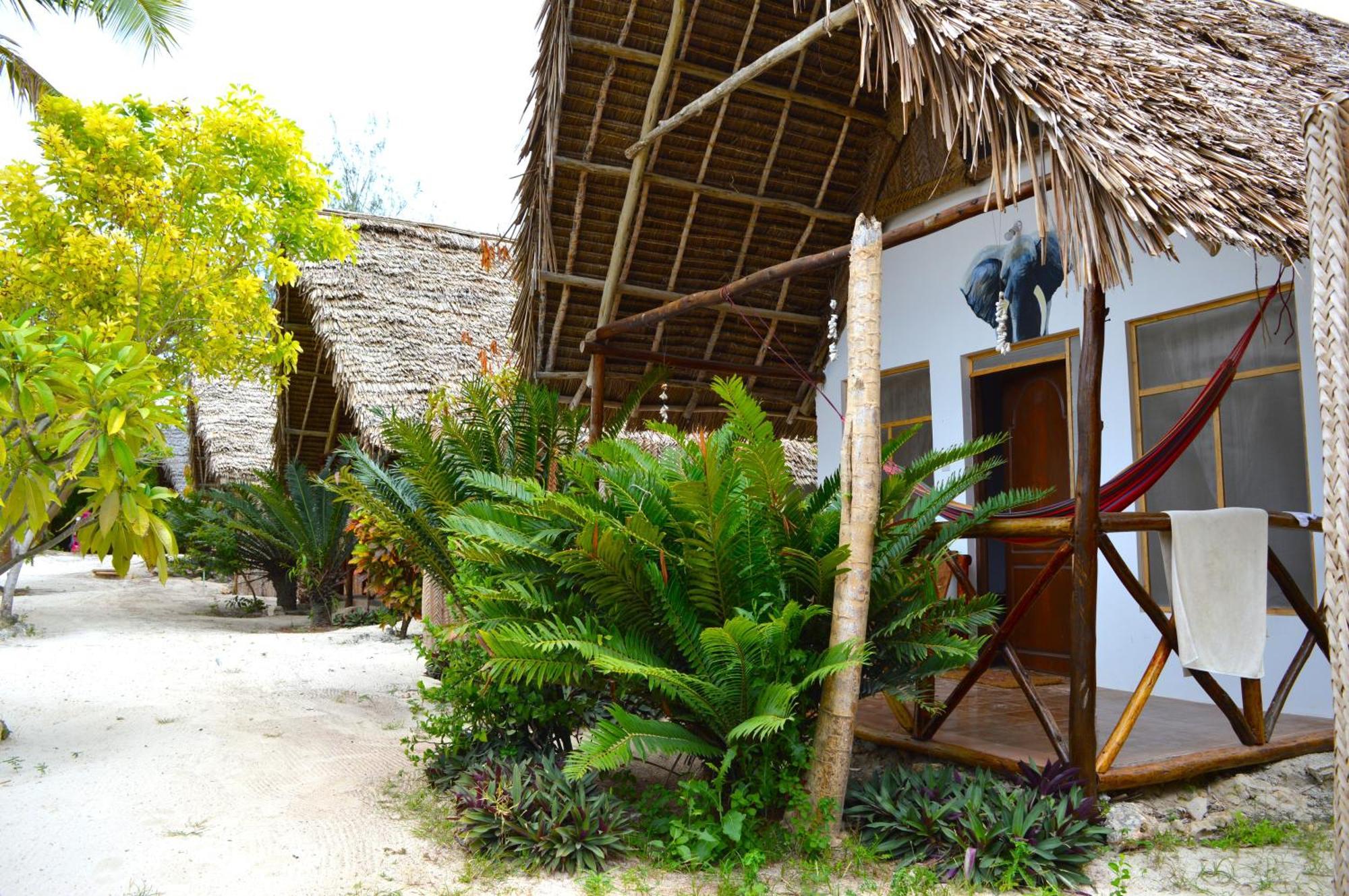New Jambo Bungalows Paje Exteriér fotografie