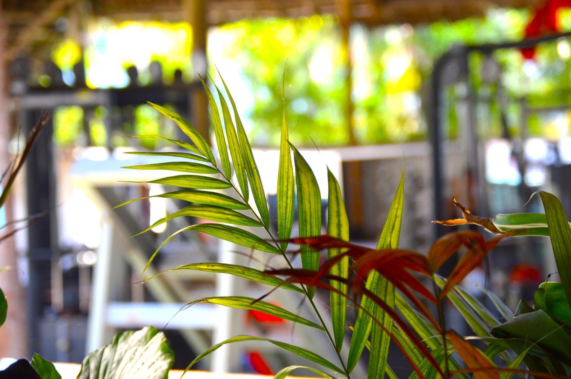 New Jambo Bungalows Paje Exteriér fotografie