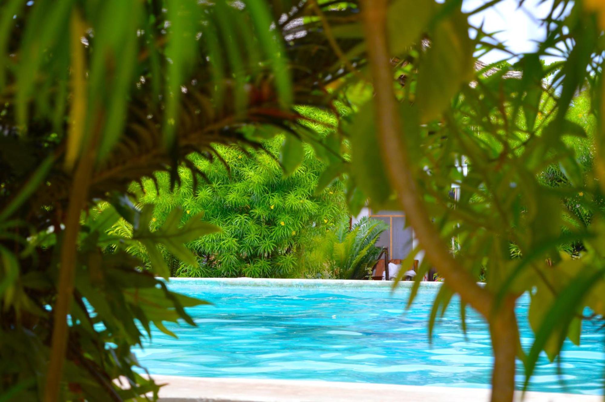 New Jambo Bungalows Paje Exteriér fotografie