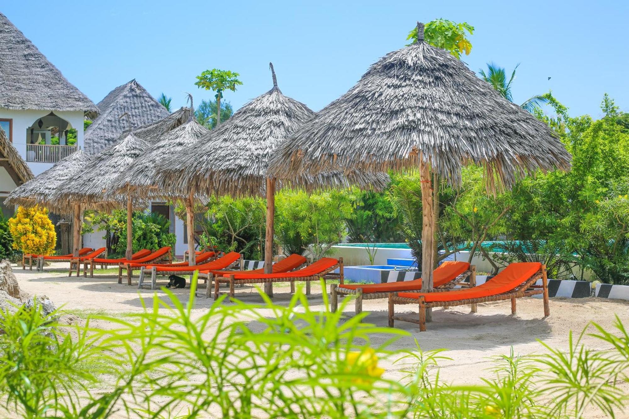 New Jambo Bungalows Paje Exteriér fotografie