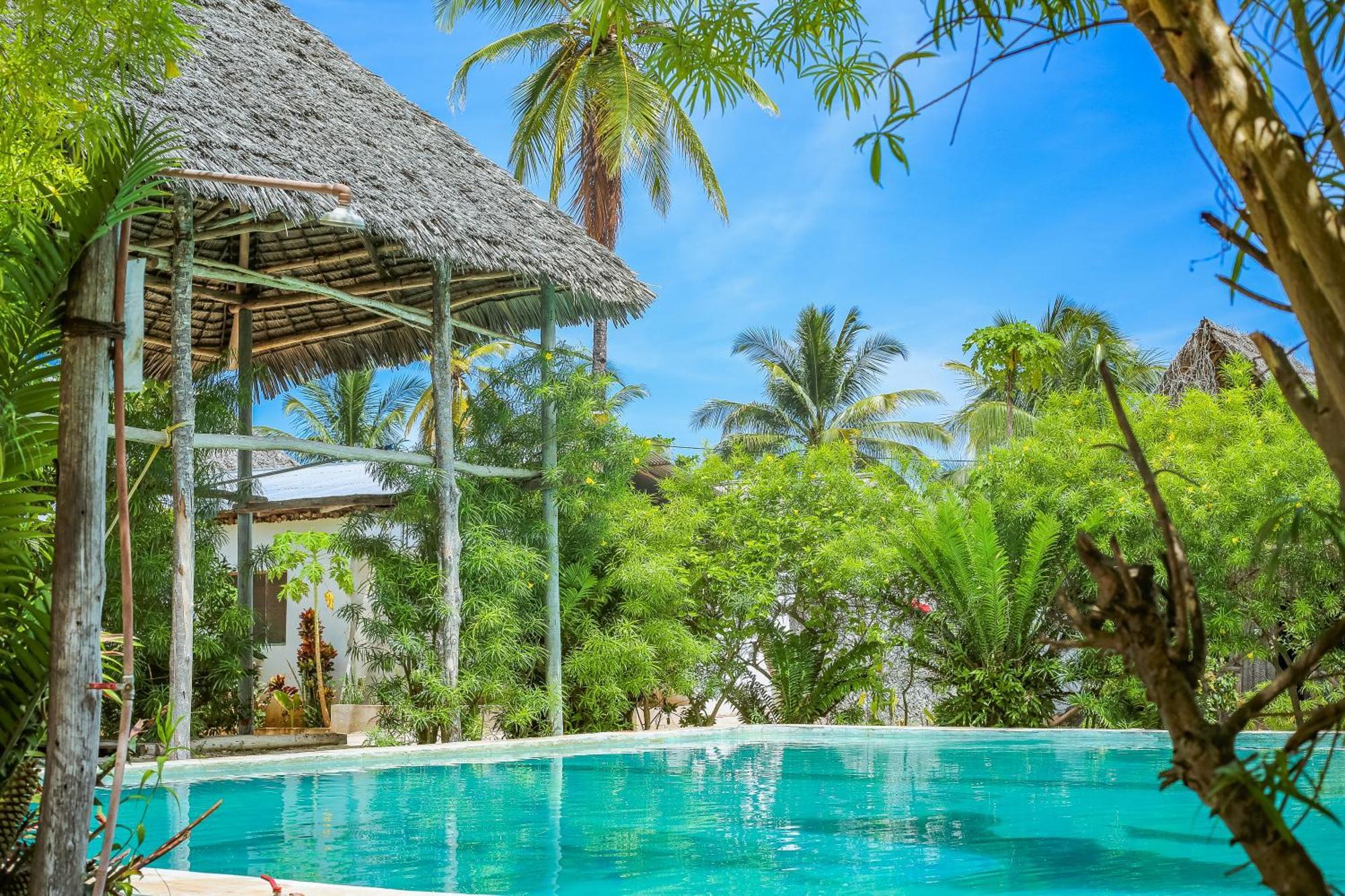 New Jambo Bungalows Paje Exteriér fotografie